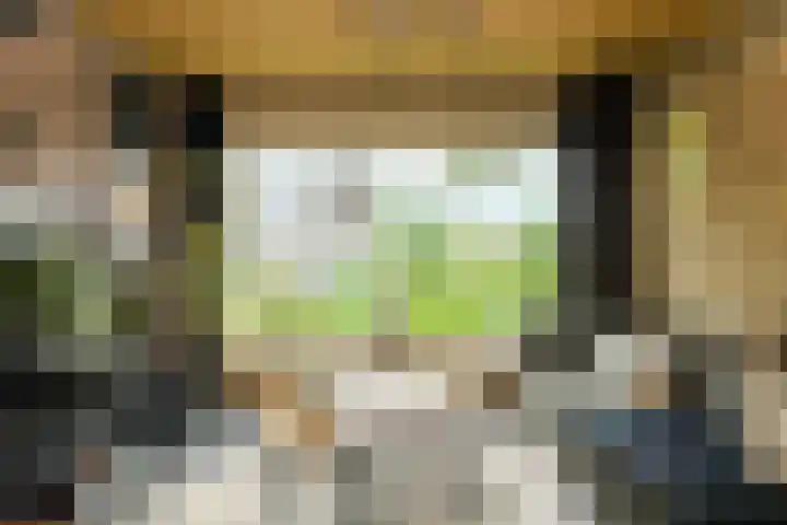 Lavendelstraat 20 Raamsdonksveer thumbnail 11
