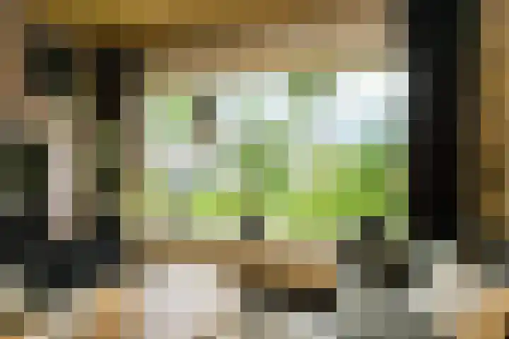 Lavendelstraat 20 Raamsdonksveer thumbnail 12