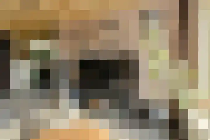 Lavendelstraat 20 Raamsdonksveer thumbnail 13