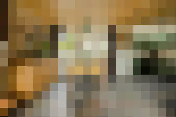 Lavendelstraat 20 Raamsdonksveer thumbnail 15