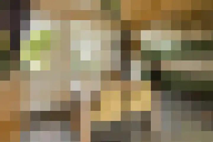 Lavendelstraat 20 Raamsdonksveer thumbnail 16