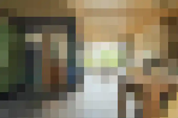 Lavendelstraat 20 Raamsdonksveer thumbnail 20
