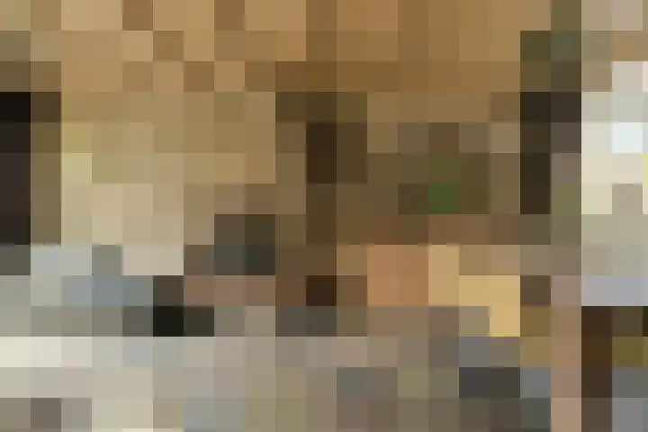 Lavendelstraat 20 Raamsdonksveer thumbnail 21