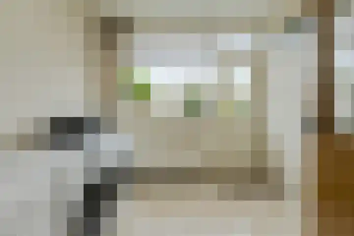 Lavendelstraat 20 Raamsdonksveer thumbnail 22
