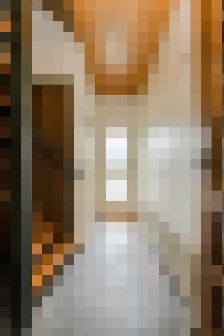 Lavendelstraat 20 Raamsdonksveer thumbnail 24
