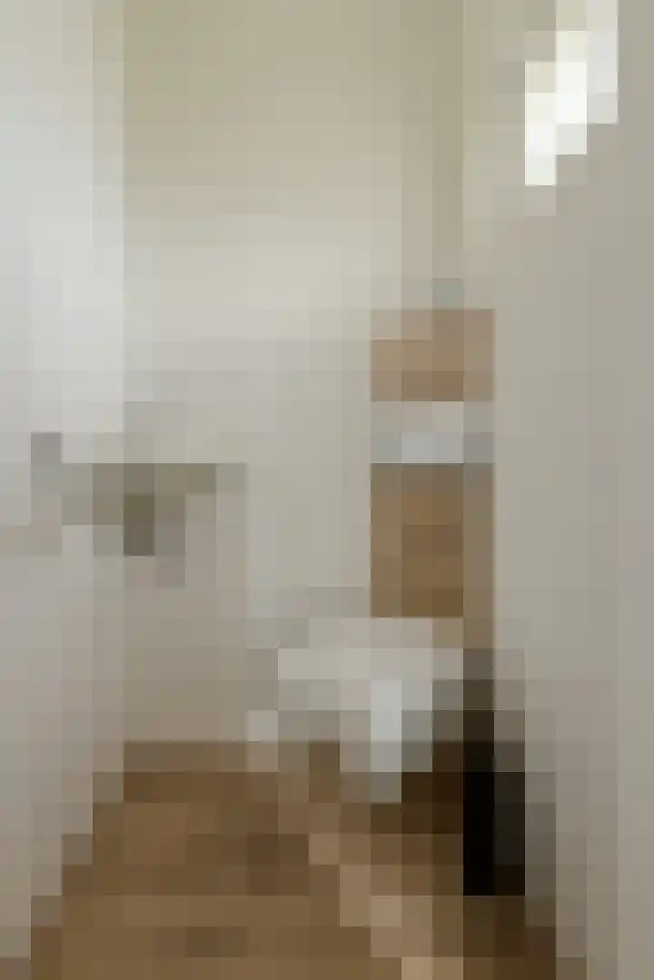 Lavendelstraat 20 Raamsdonksveer thumbnail 25