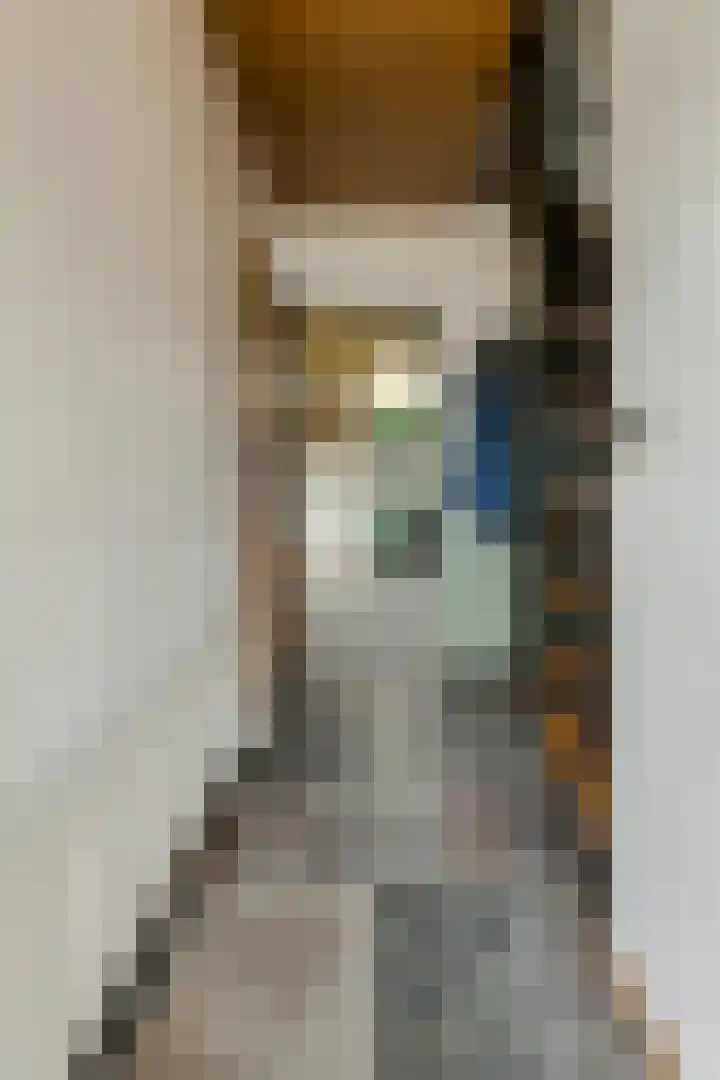 Lavendelstraat 20 Raamsdonksveer thumbnail 26