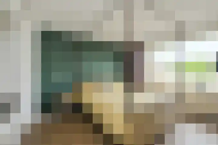 Lavendelstraat 20 Raamsdonksveer thumbnail 27