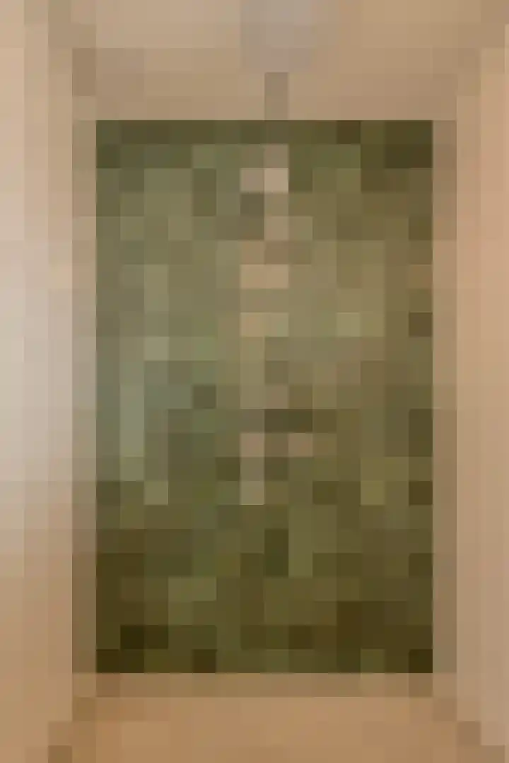 Lavendelstraat 20 Raamsdonksveer thumbnail 31