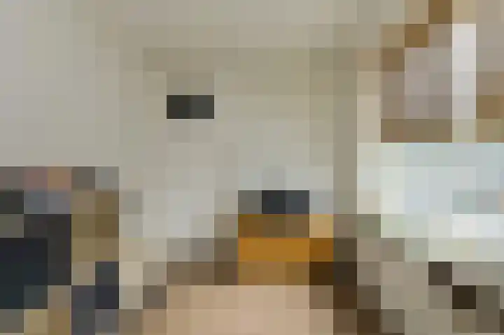 Lavendelstraat 20 Raamsdonksveer thumbnail 34