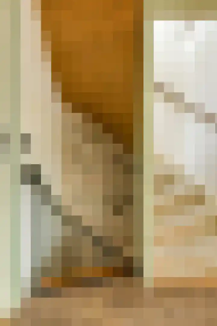 Lavendelstraat 20 Raamsdonksveer thumbnail 37