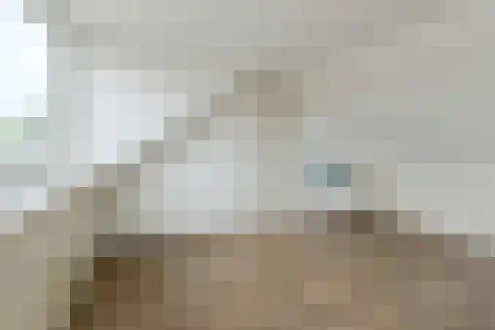 Lavendelstraat 20 Raamsdonksveer thumbnail 41