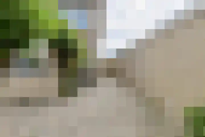 Lavendelstraat 20 Raamsdonksveer thumbnail 46