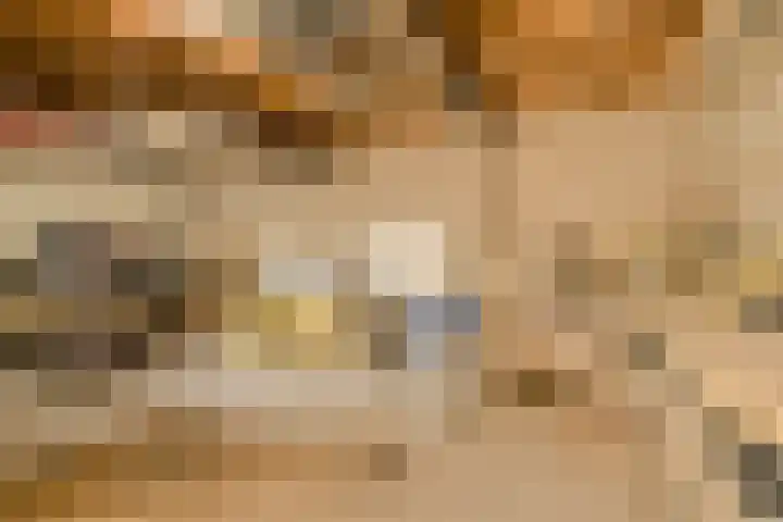 Lavendelstraat 20 Raamsdonksveer thumbnail 50
