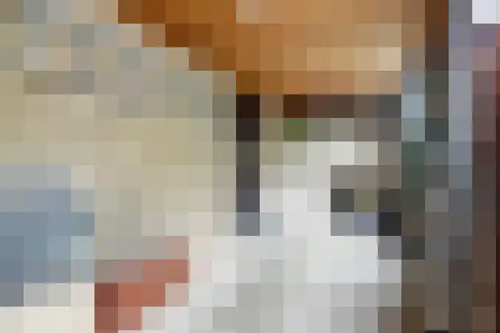Lavendelstraat 21 Beuningen Gld thumbnail 32