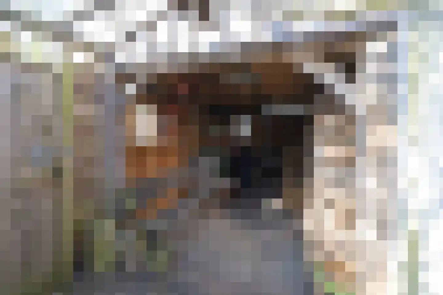 Lavendelstraat 23 Zwolle thumbnail 31