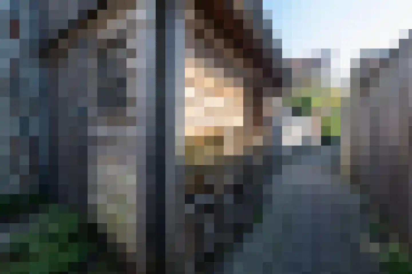 Lavendelstraat 23 Zwolle thumbnail 32