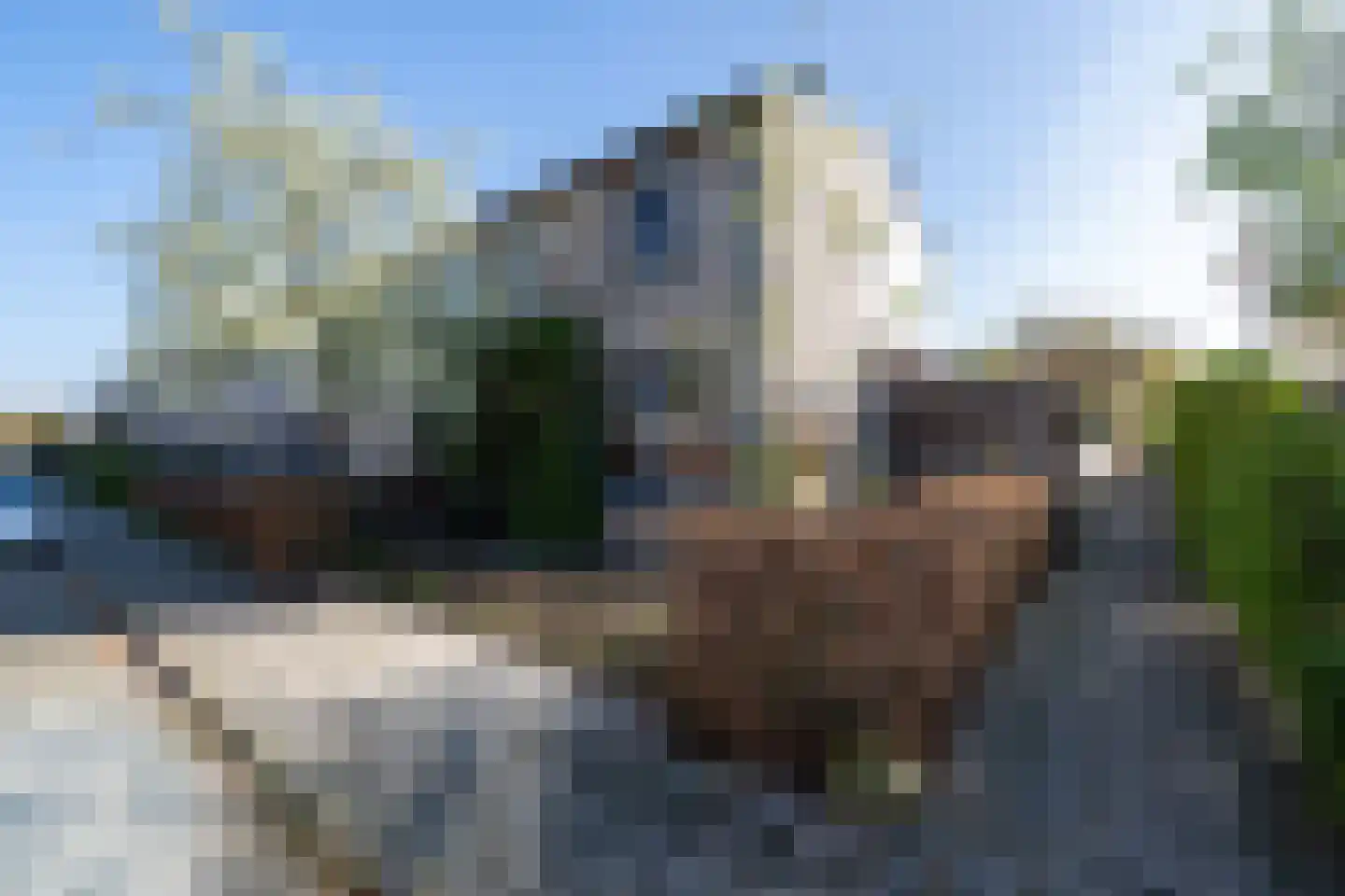 Lavendelstraat 23 Zwolle thumbnail 33