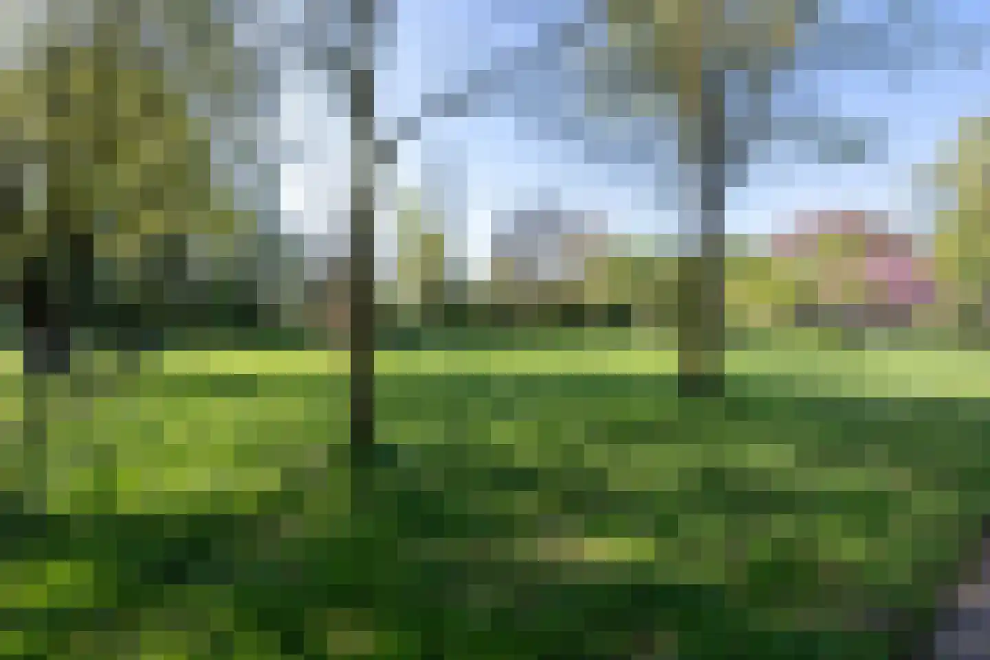 Lavendelstraat 23 Zwolle thumbnail 34