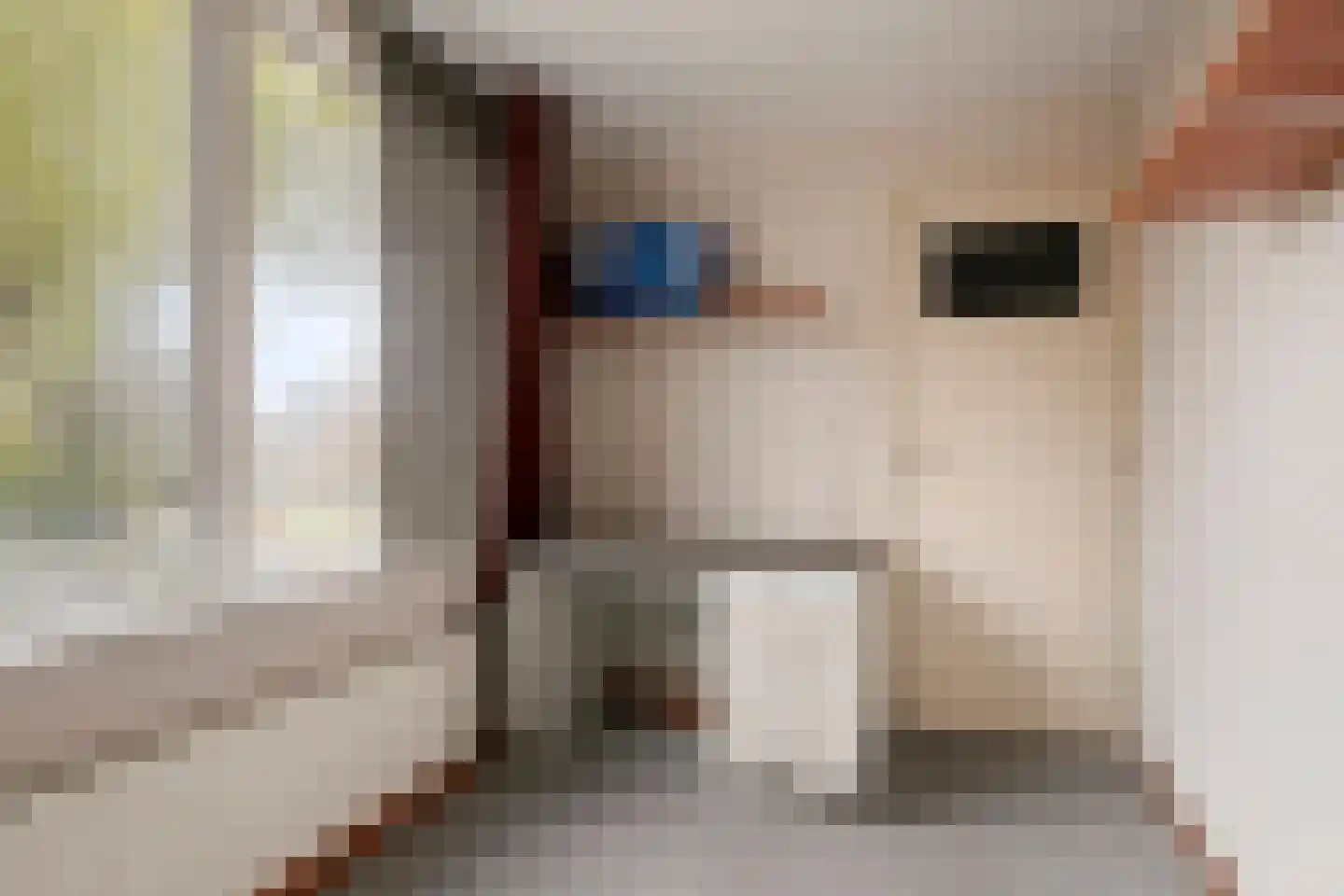 Lavendelstraat 25 Bergeijk thumbnail 13