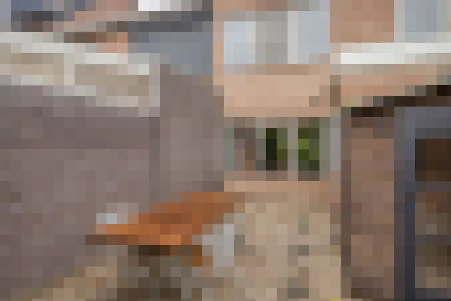 Lavendelstraat 25 Bergeijk thumbnail 22