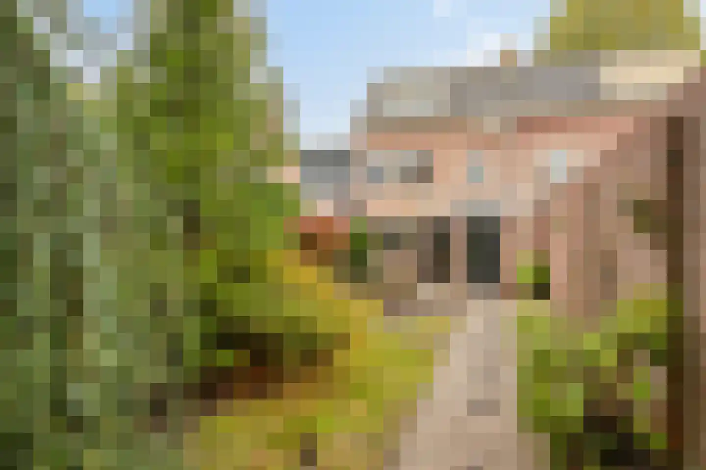 Lavendelstraat 25 Bergeijk thumbnail 23