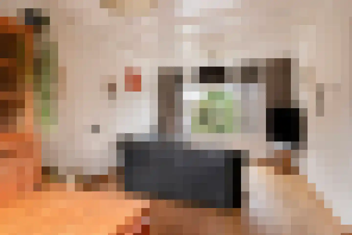 Lavendelstraat 25 Bergeijk thumbnail 4