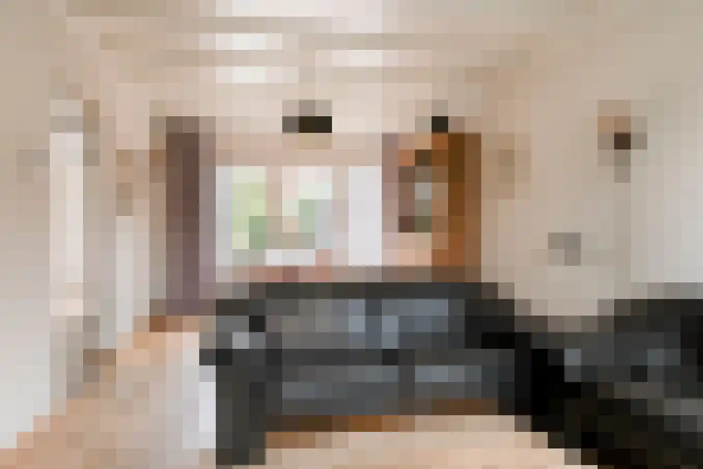 Lavendelstraat 25 Bergeijk thumbnail 5