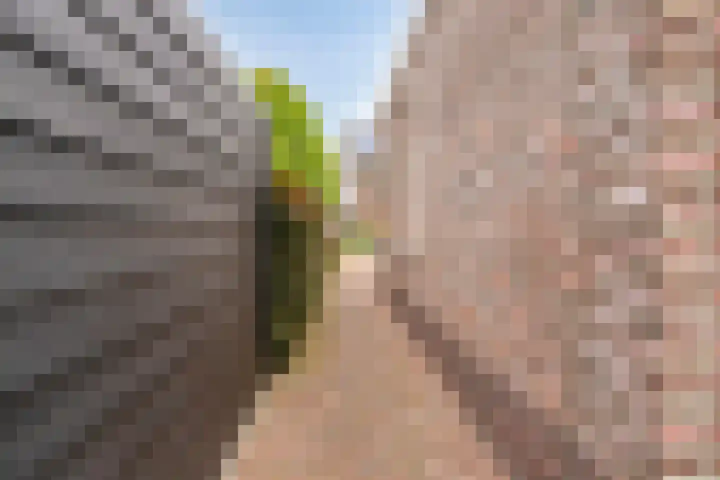 Lavendelstraat 26 's-Gravenpolder thumbnail 43