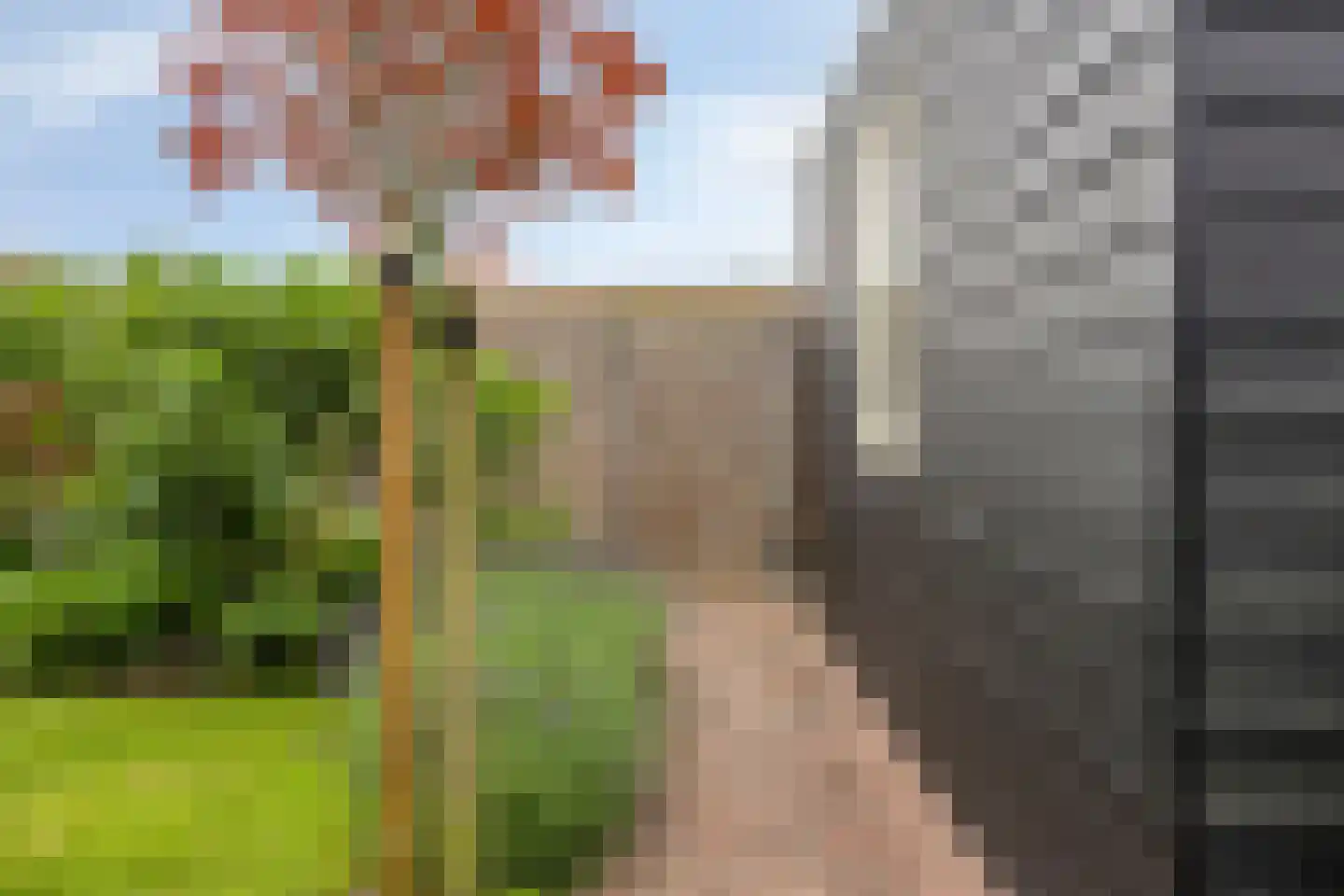Lavendelstraat 26 's-Gravenpolder thumbnail 46