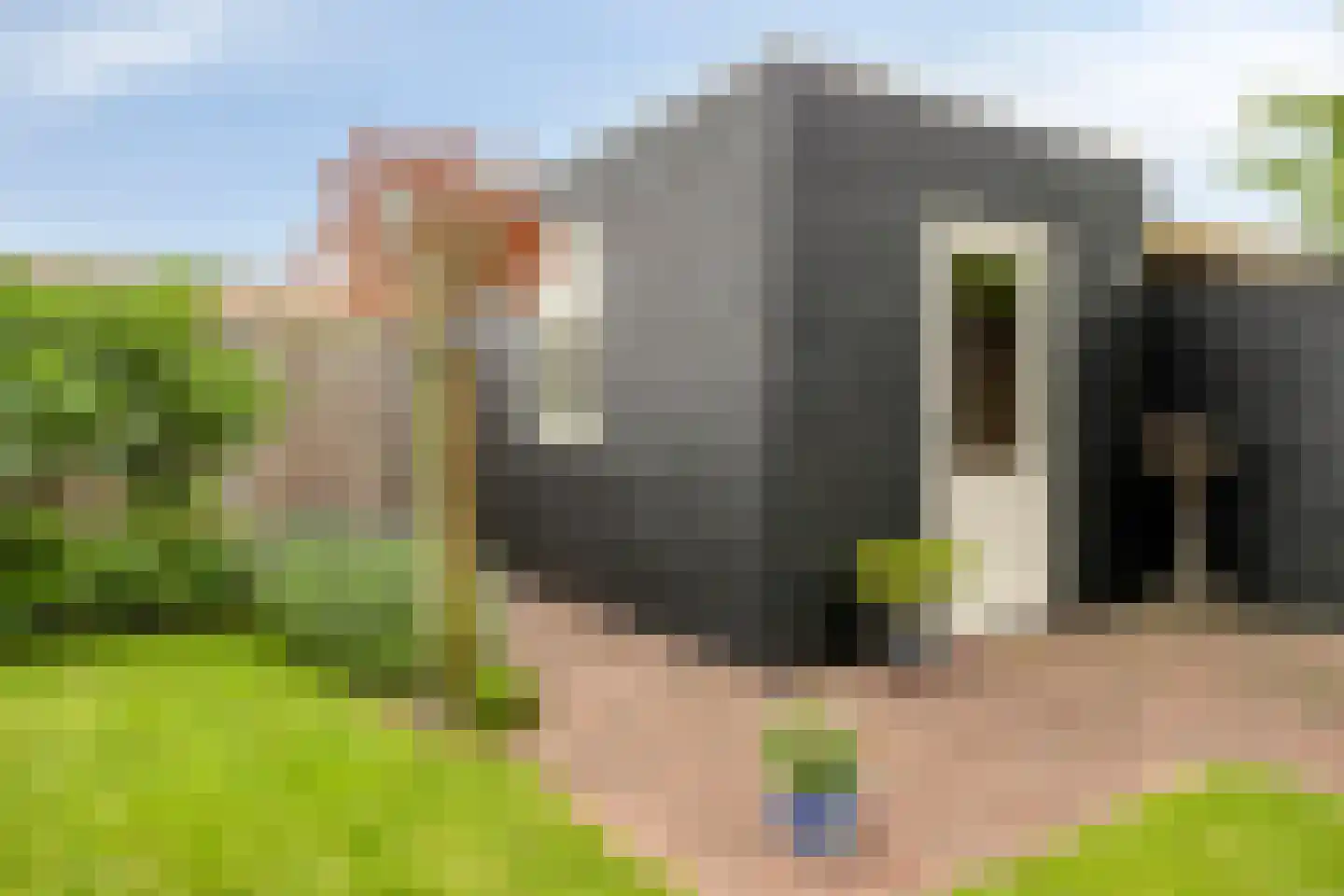 Lavendelstraat 26 's-Gravenpolder thumbnail 47
