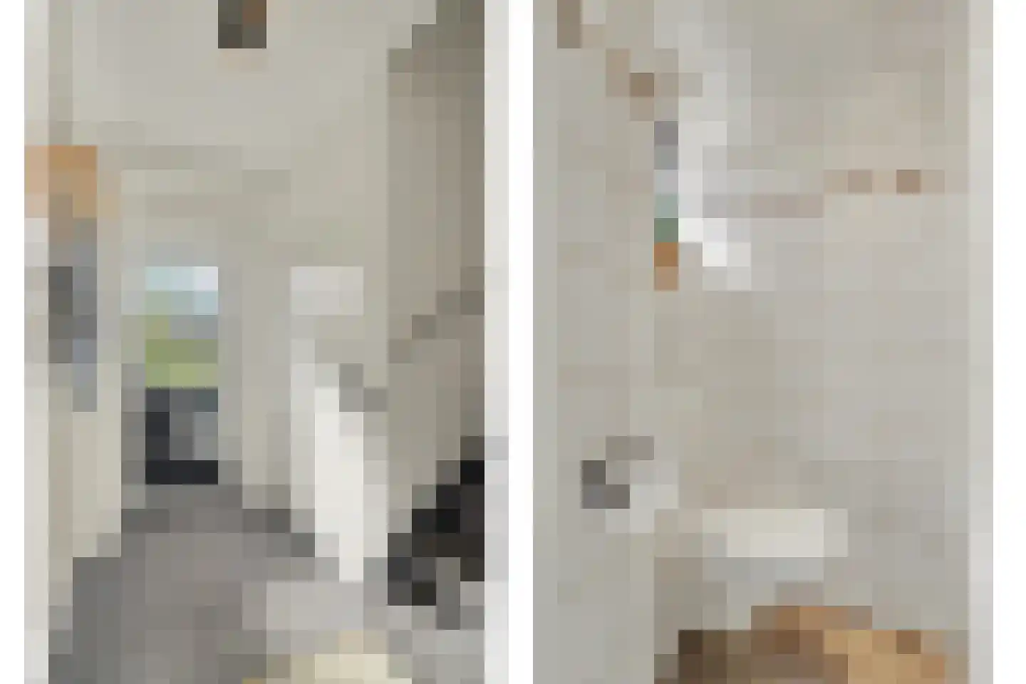 Lavendelstraat 29 Bergeijk thumbnail 6