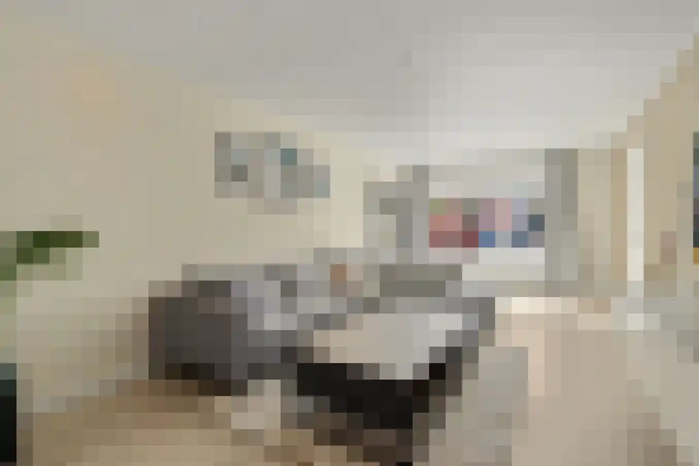 Lavendelstraat 29 Bergeijk thumbnail 7