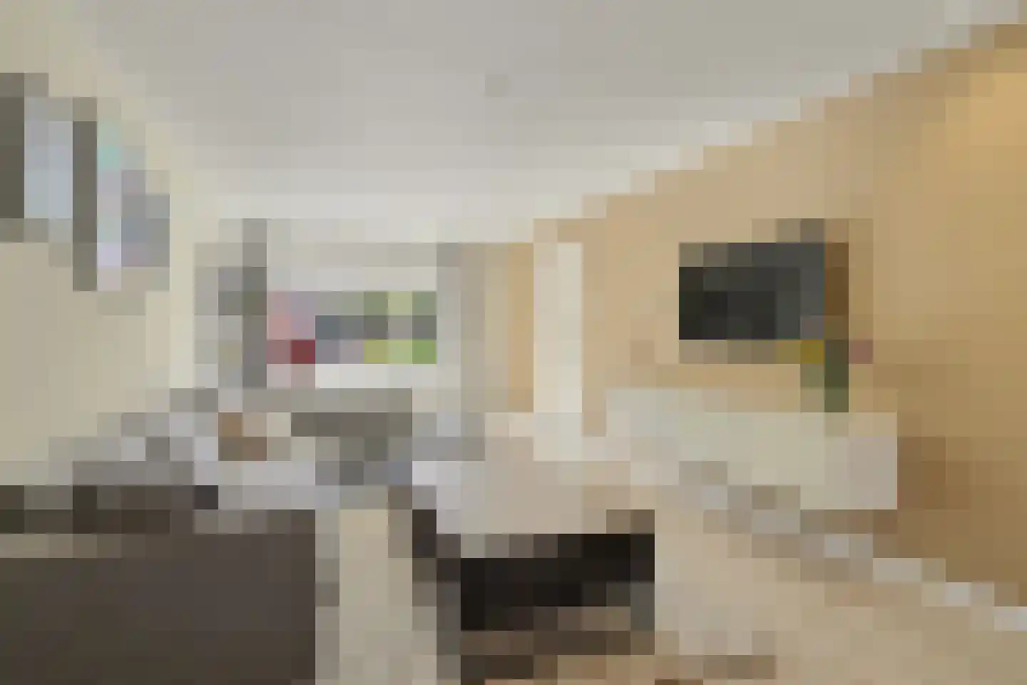 Lavendelstraat 29 Bergeijk thumbnail 8