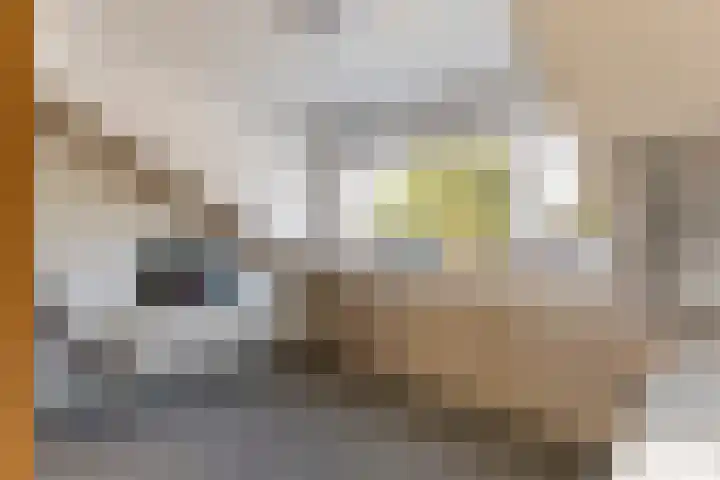 Lavendelstraat 3 Apeldoorn thumbnail 21