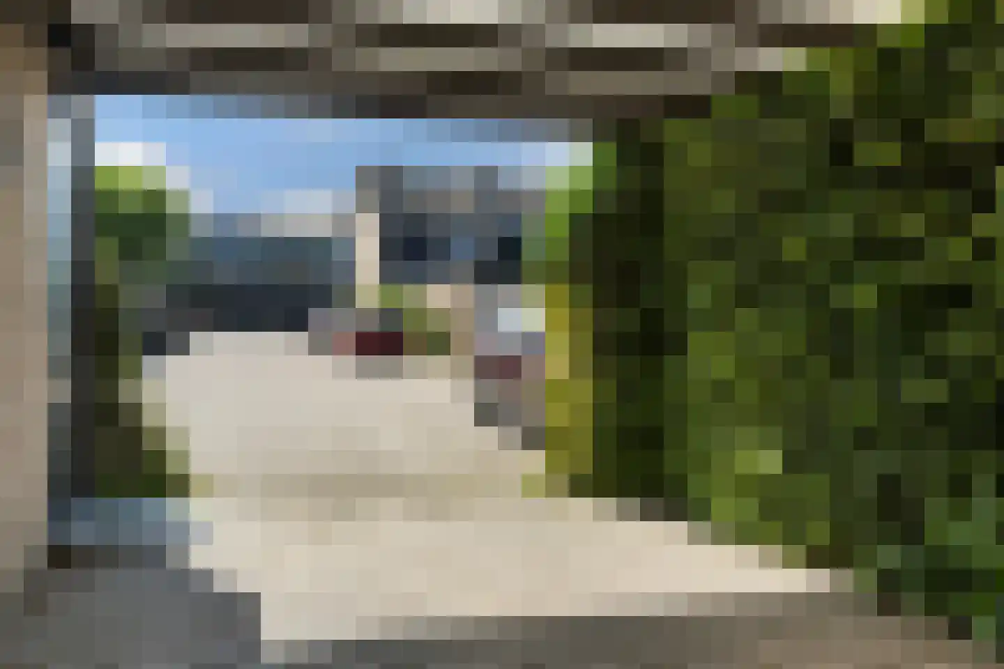 Lavendelstraat 31 Apeldoorn thumbnail 29