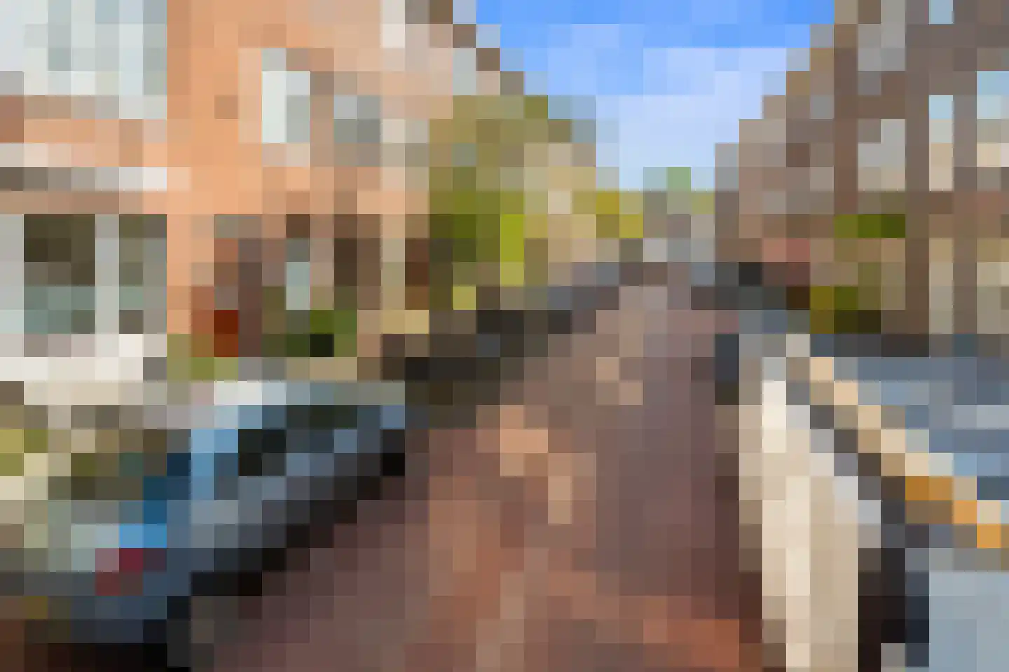 Lavendelstraat 31 Den Haag thumbnail 29