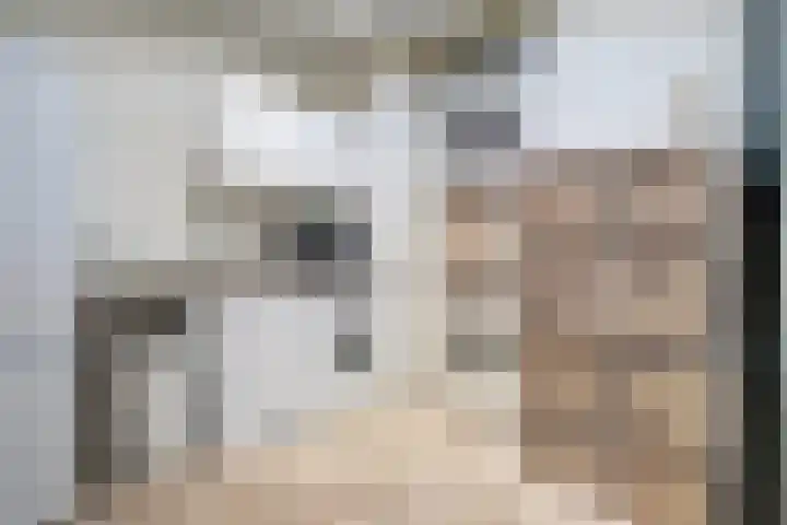Lavendelstraat 35 Bergeijk thumbnail 15