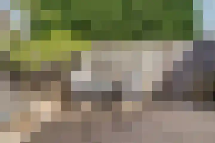 Lavendelstraat 35 Bergeijk thumbnail 30