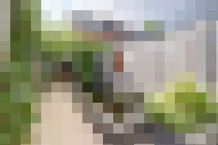 Lavendelstraat 35 Bergeijk thumbnail 31