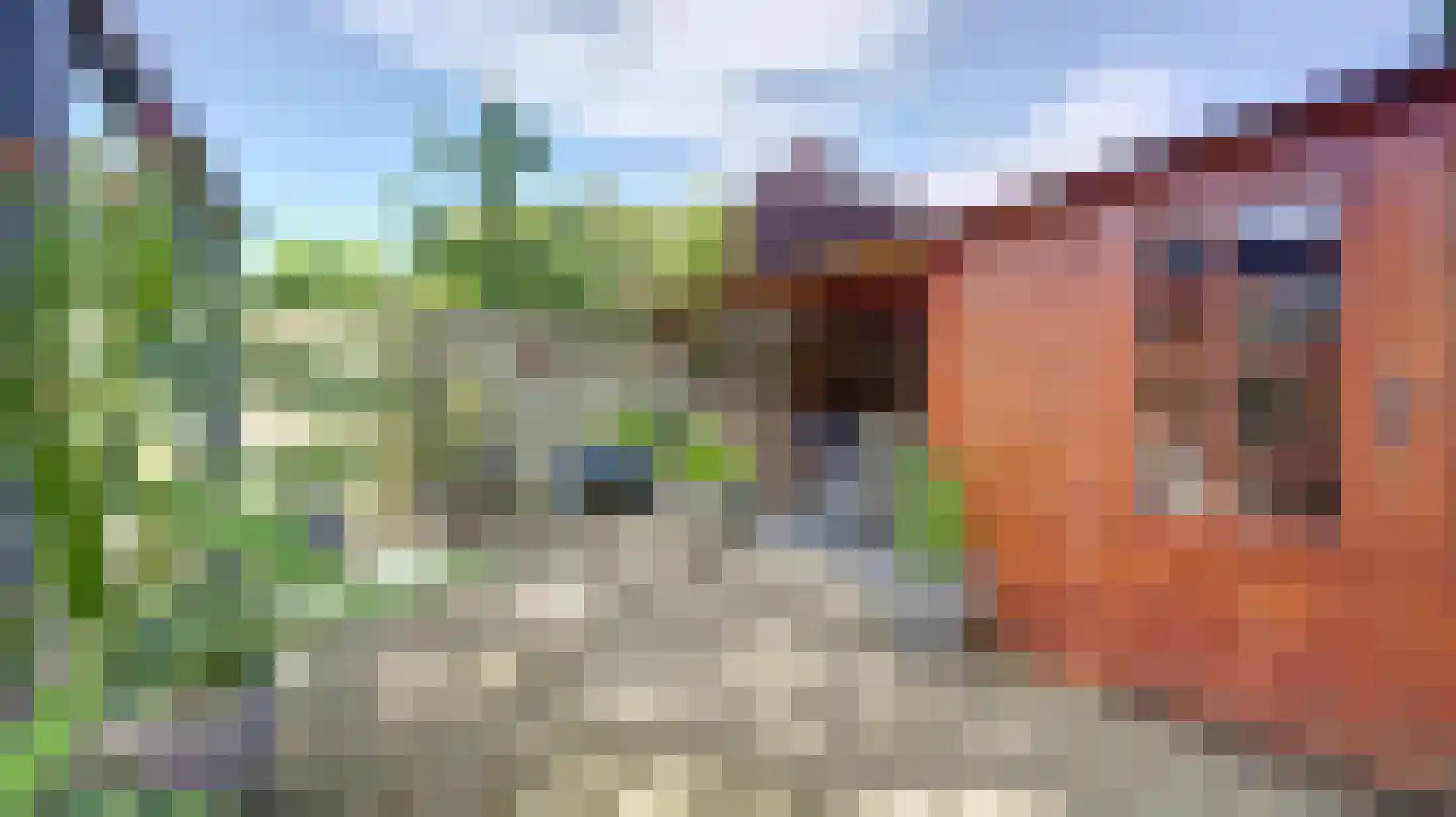 Lavendelstraat 36 Almelo thumbnail 29