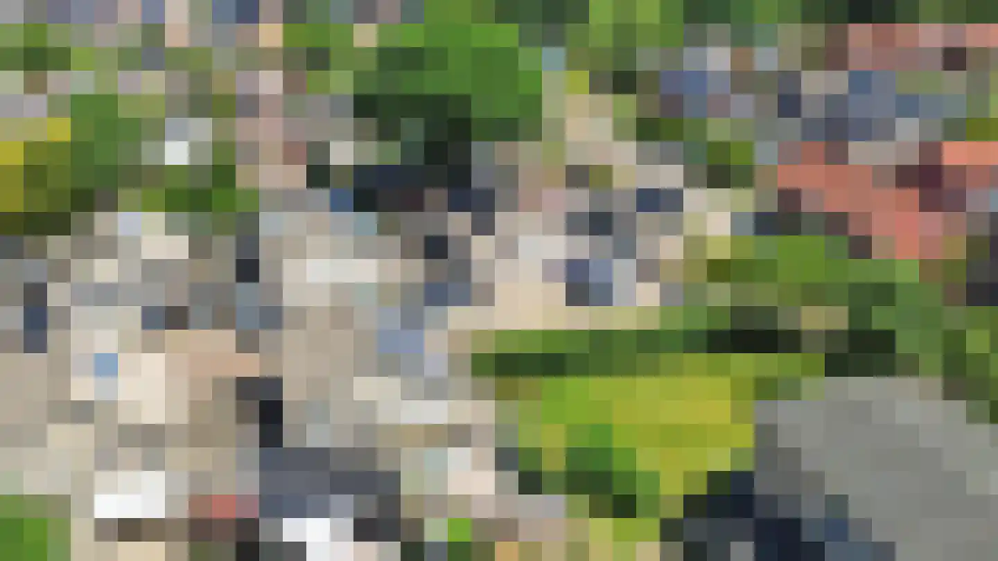 Lavendelstraat 36 Almelo thumbnail 36