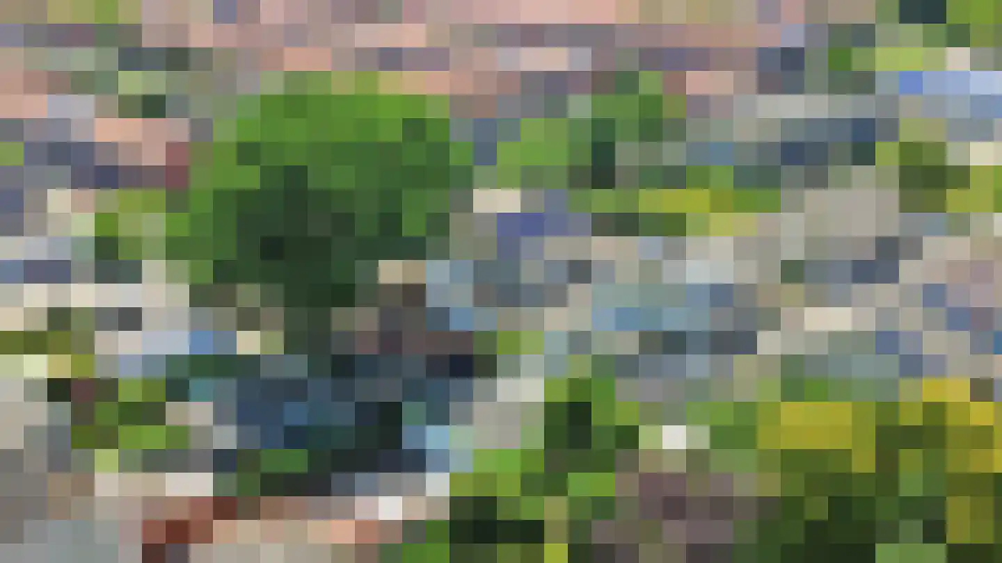 Lavendelstraat 36 Almelo thumbnail 37