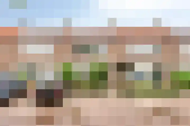 Lavendelstraat 53 Uden thumbnail 45