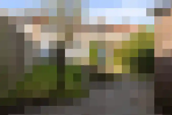 Lavendelstraat 7 Arnhem thumbnail 40