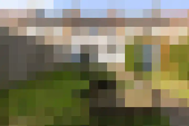 Lavendelstraat 7 Arnhem thumbnail 42