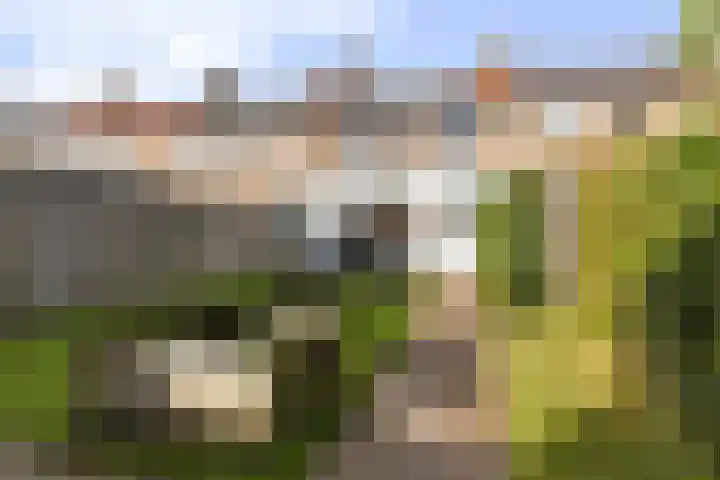 Lavendelstraat 7 Arnhem thumbnail 43