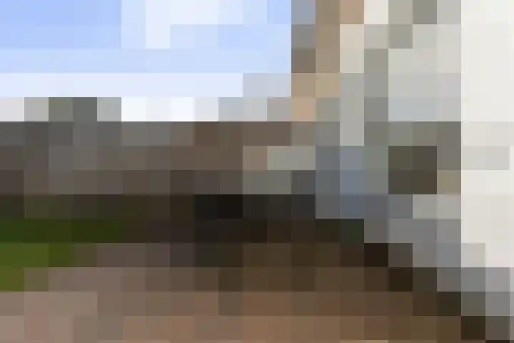 Lavendelstraat 7 Arnhem thumbnail 45