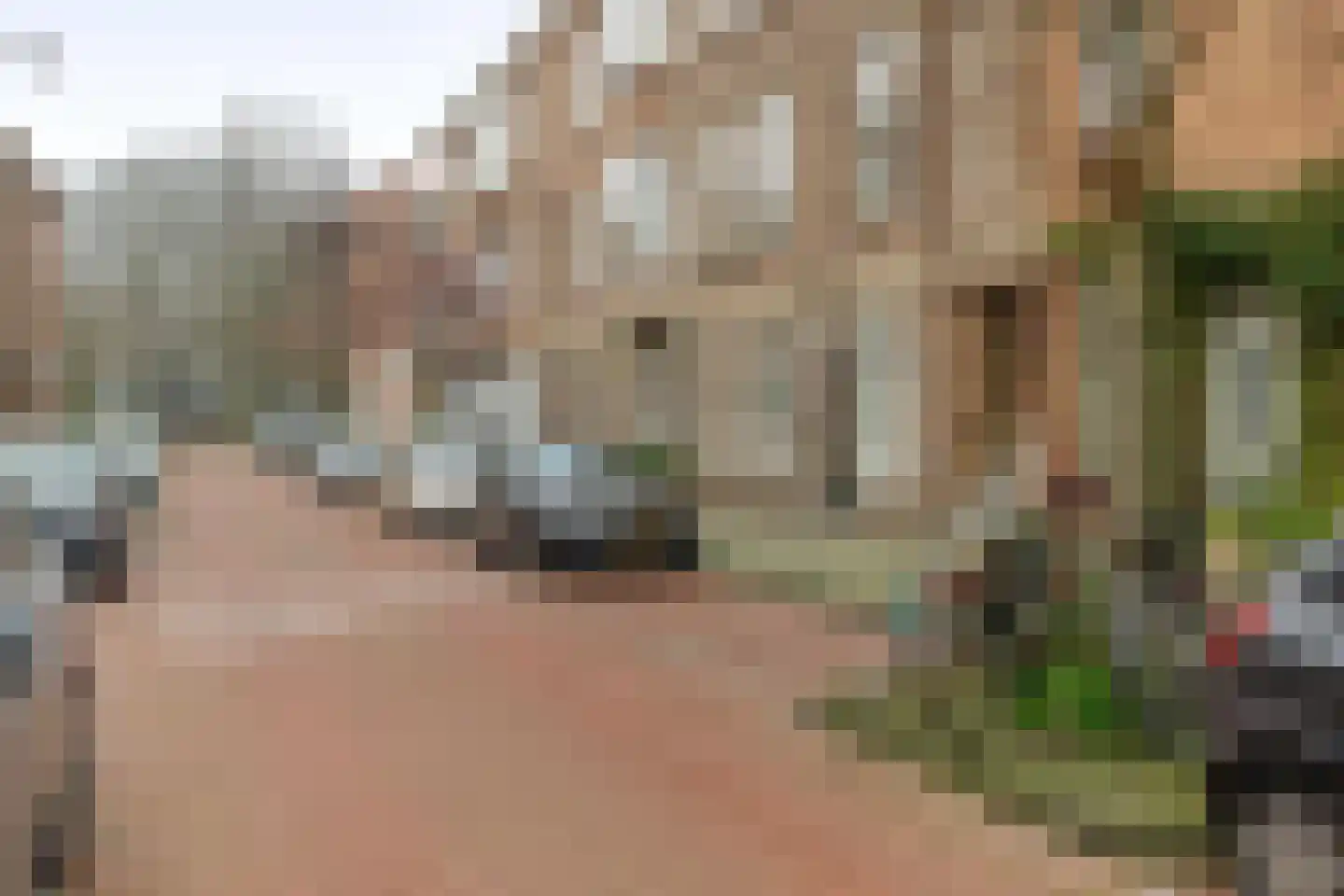 Lavendelstraat 71 Den Haag thumbnail 8
