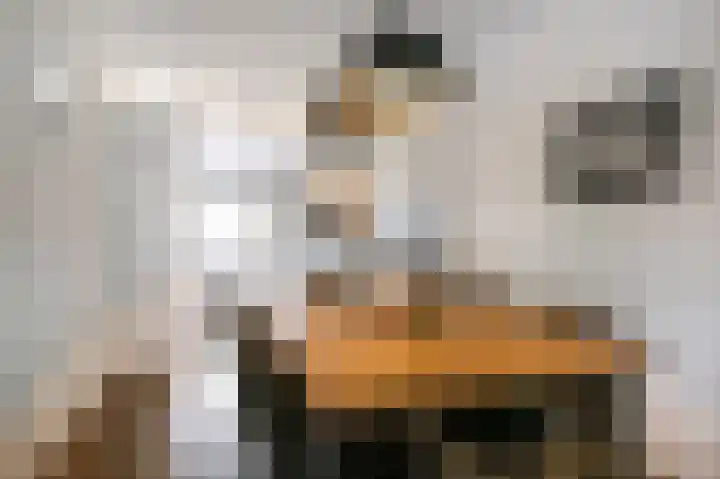 Lavendelstraat 8 Beuningen Gld thumbnail 5